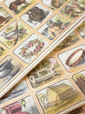 Victorian French/English picture loto game